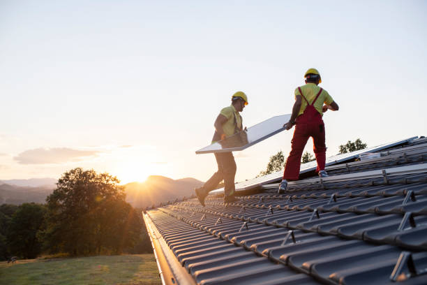 Best Asphalt Shingle Roofing  in Dane, WI