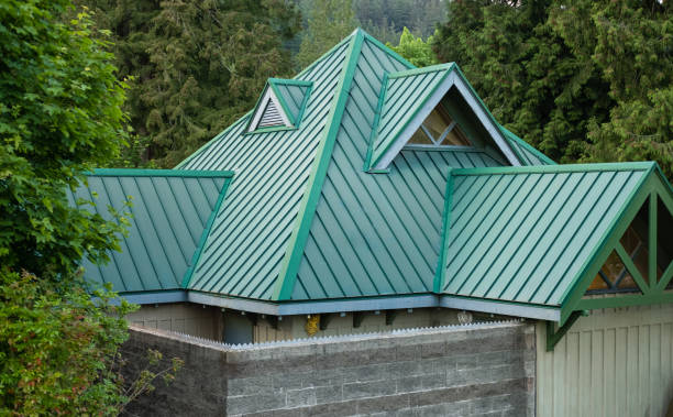 Best Asphalt Shingles Roofing  in Dane, WI