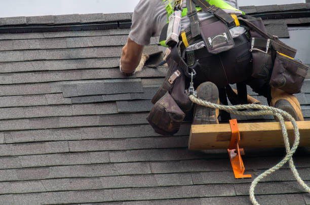 Best Chimney Flashing Repair  in Dane, WI