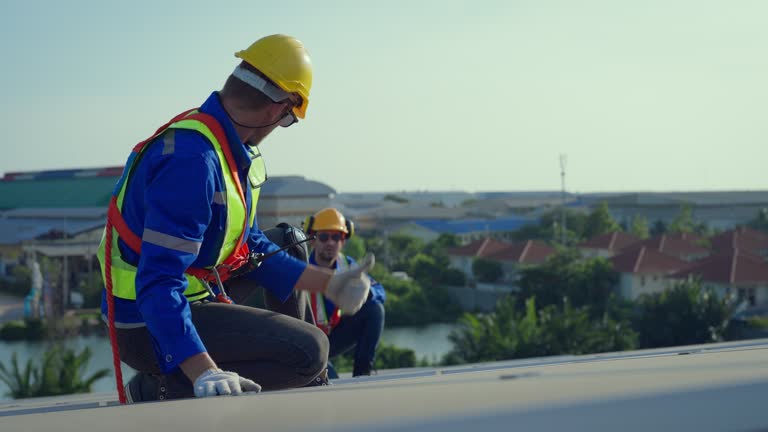Best Steel Roofing  in Dane, WI