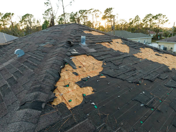Best Slate Roofing  in Dane, WI